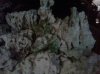 2012-04-16 07.39.02.jpg