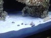 2012-04-24 20.23.30.jpg