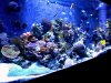 Reef4-26.jpg