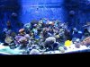 Reef4-26 (2).jpg