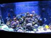 Reef4-26 (3).jpg