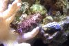 IMG_0137.JPG