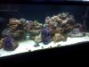 2012-05-20_05-51-33_71.jpg