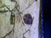 20120603_183024.jpg