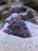 IMG_20120604_201254.jpg