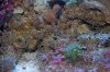 DSC_3967.jpg2.jpg