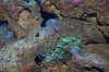 DSC_3968.jpg2.jpg