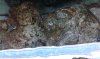 2012-06-19 19.05.38.jpg