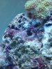 CAM00695.jpg