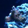 ImageUploadedByTapatalk1340300853.468651.jpg