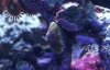 critter2.JPG