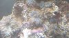 IMAG0589.jpg