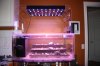 Custom LED.jpg