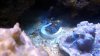 2012-07-21_19-25-47_17.jpg