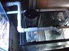 sump fuge 005.JPG
