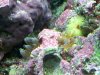 IMG_20120804_143308.jpg