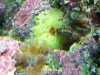 IMG_20120804_143500.jpg