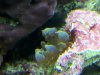 IMG_20120804_143521.jpg