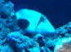 IMG_2844.jpg