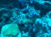 IMG_2833.jpg