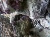 IMG_20120820_212258.jpg