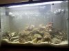 IMG_20120823_203355.jpg
