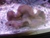 20120902_085233.jpg