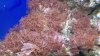 2012-09-08_08-59-03_303.jpg