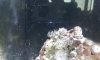 20120920_123937.jpg