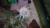 DSC00477.jpg