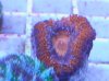 WP_001019.jpg