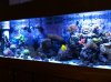 IMG_0837.jpg