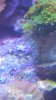 uploadfromtaptalk1350524603516.jpg
