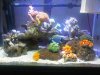 IMG00731-20110725-2202.jpg