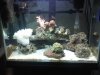 IMG00681-20110720-0810.jpg