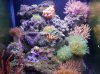 2013-01-10 17.02.29.jpg