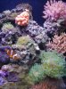 2013-01-10 17.52.03.jpg