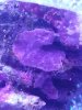hydroidsmaybe.jpg