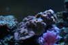 DSC03275.JPG
