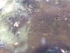 20130122_183828.jpg
