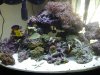 20130202_134808.jpg