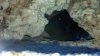 2013-02-13_21-14-40_665.jpg