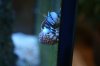 DSC03300.JPG