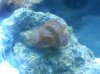 20130307_191103.jpg