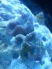 20130307_191112.jpg