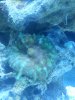 20130307_191130.jpg