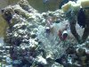 20130307_125954.jpg