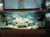 2013-03-24_09_32_35.jpg