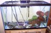 QT tank.JPG