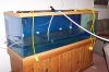 fresh water test.JPG